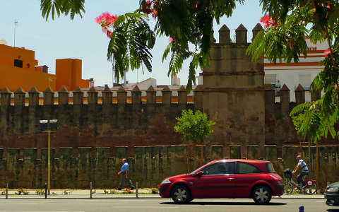 Sevilla, Spain, Old City Walls, Acaciatree