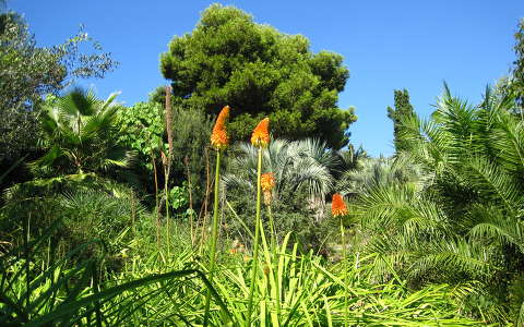 Jardí Botánic Marimurtra, Spanyolország