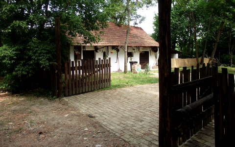Tanya. Fotó: Csonki