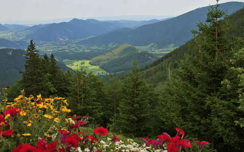 Puchberg am Schneeberg hegyi látkép