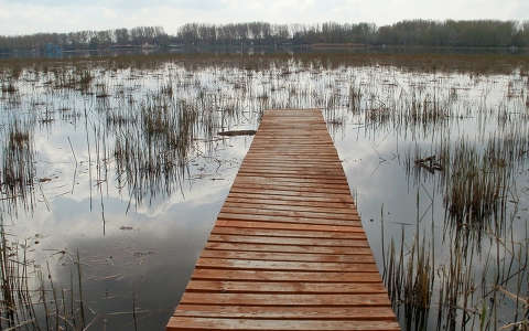 magyarország stég és móló tó