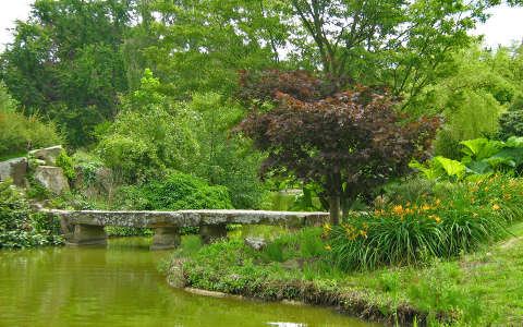 Anglia, a Cliveden kastely kertje