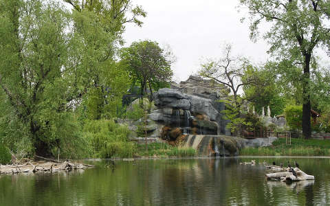 fa kövek és sziklák tó