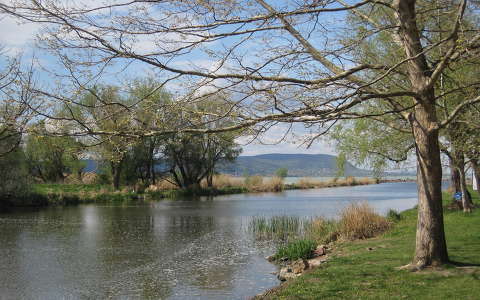 Balatonmáriafürdő
