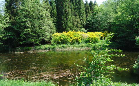 Jeli Arborétum