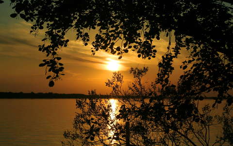 Naplemente a Tisza-tavon