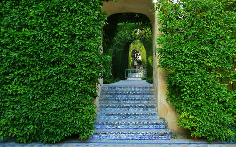 Sevilla-Spain, Jardines Real Alcazar