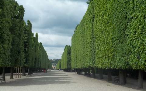 Schönbrunni kastély parkja a hosszú fasorral, Bécs