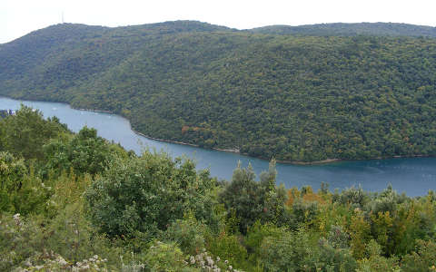 Horvárország - Limski fjord