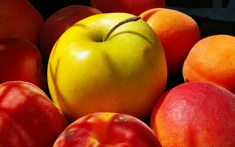 Kajszibarack,golden alma,gyümölcs