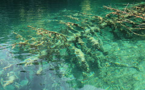 Horvátország - Plitvicei tavak