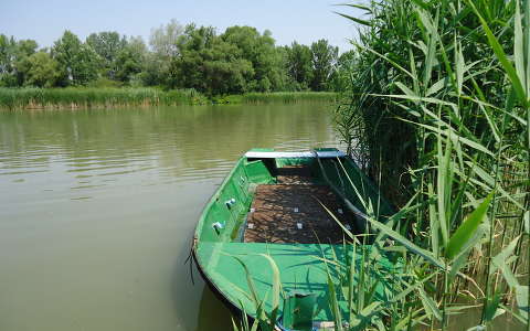 Pihenő ladik