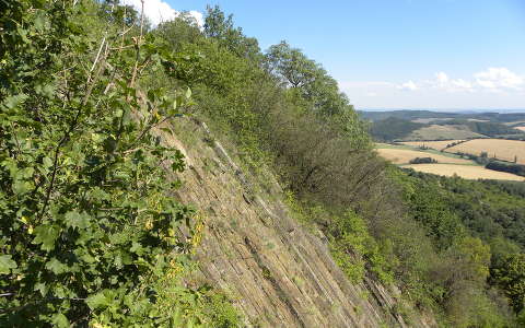 Andezit-orgona a szandai vár oldalában