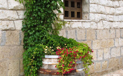 Tokajban még a virágokat is hordóban tartják