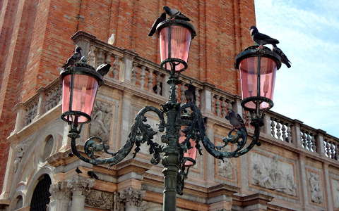galambok a Szent Márk-téren,Velence,Olaszország