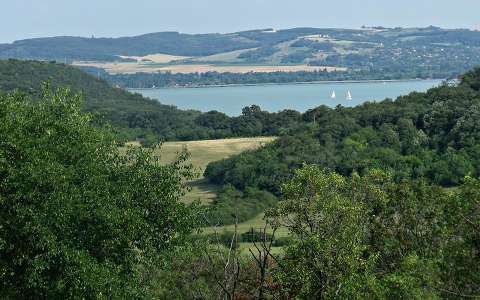 Magyarország, Balaton, látkép a tihanyi őslevendulásból