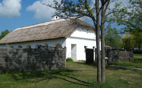ház