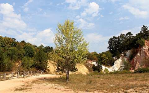 Magyarország, Budakeszi, Vadaspark, parkoló