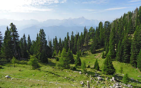 Alpok,Karintia