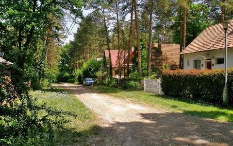 Nyugalom,Fotó:Szolnoki Tibor