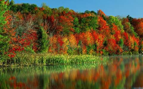 tó tükröződés ősz