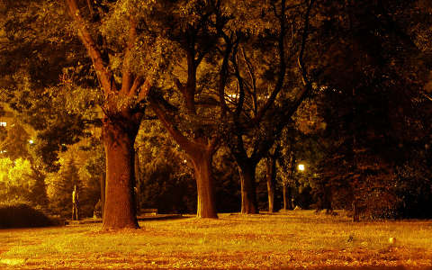 Dunaújvárosi park este