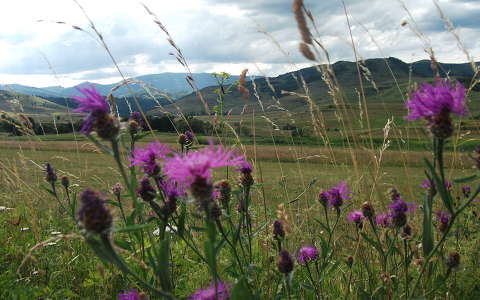 Kolozs megye, Erdély