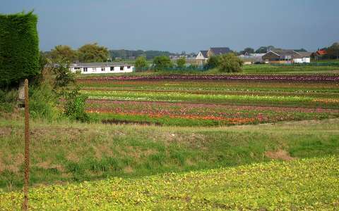 Vogelenzang, Nederland. Tweede Doodweg Foto by Elly Hartog.