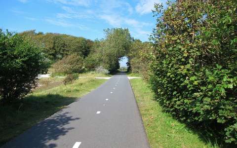 Noordwijk aan Zee, Nederland, Fietspad Zeeweg. 
Foto made by Elly Hartog