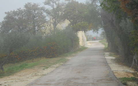 köd út ősz