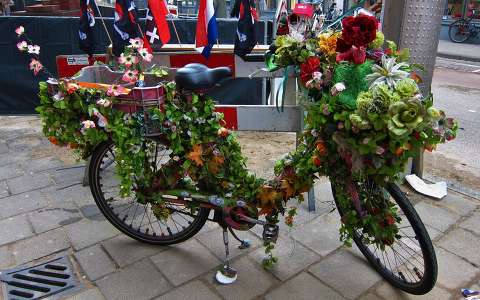 Amsterdam, a decorated bike
