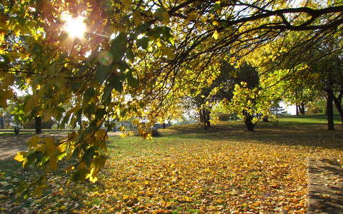 címlapfotó fény kertek és parkok ősz