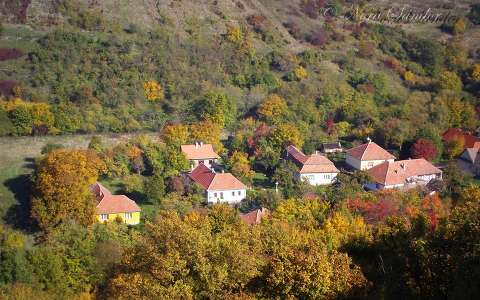 ősz