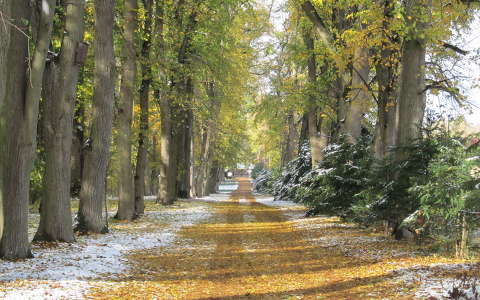 Zrici arborétum 2012.okt.vége