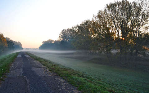 köd út ősz