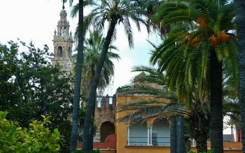 Sevilla-SPAIN, Jardines del Real Alcazar
