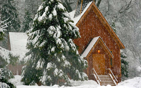 címlapfotó fenyő havazás karácsony