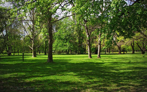 kertek és parkok