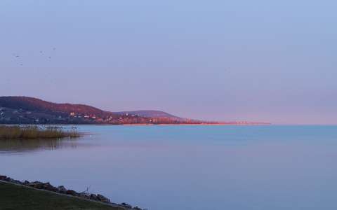 balaton magyarország tó