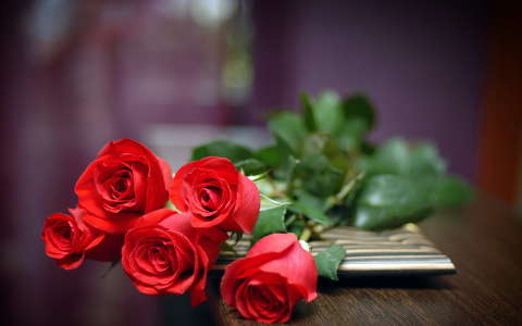 címlapfotó rózsa valentin