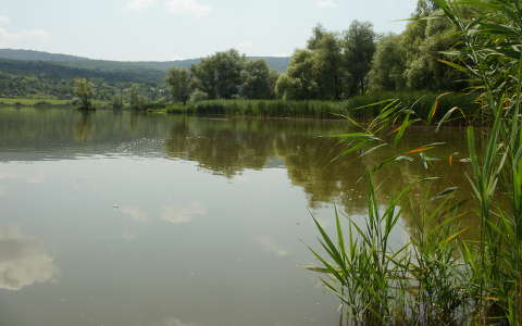 Varbói-tó