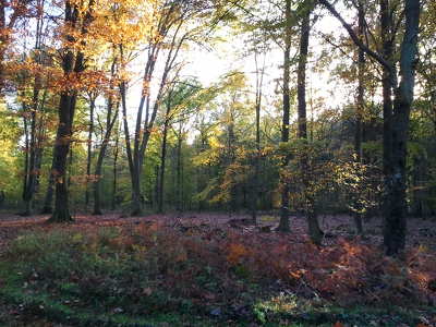 Magyarország; Őrségi Nemzeti Park