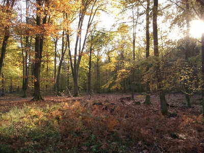 Magyarország; Őrségi Nemzeti Park