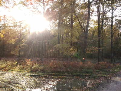 Magyarország; Őrségi Nemzeti Park