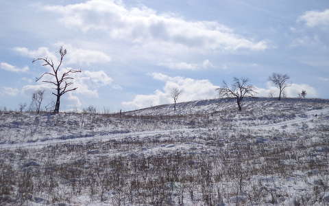 tél