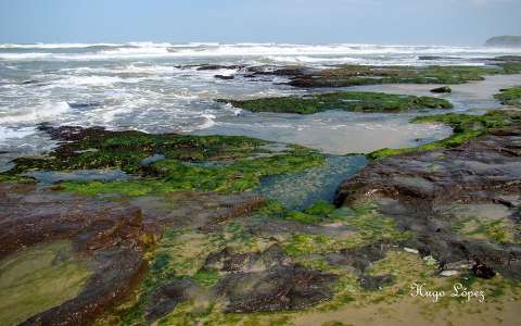 Prainha