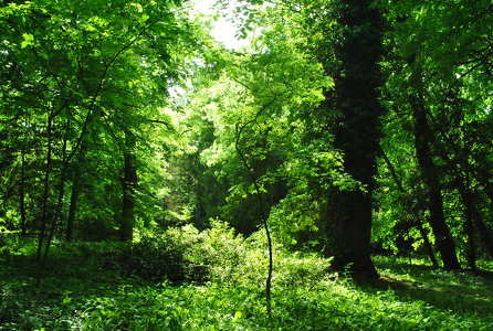 Vácrátót, Magyarország