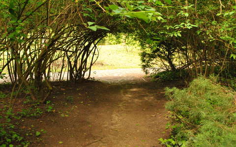 Vácrátóti arborétum, Magyarország