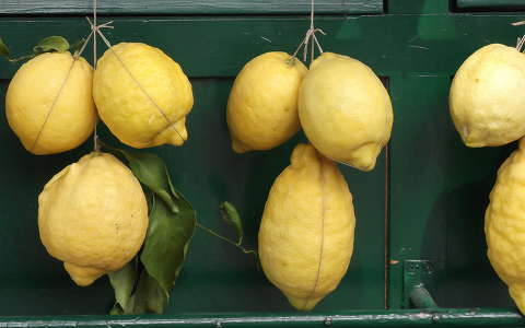 citrom címlapfotó gyümölcs