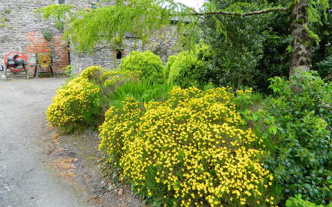 kertek és parkok tavasz írország